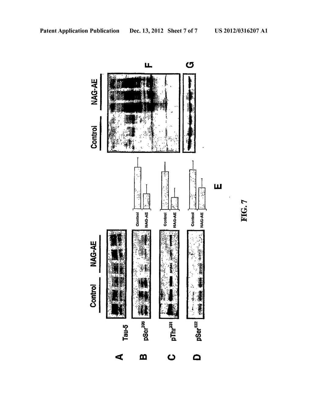 SELECTIVE GLYCOSIDASE INHIBITORS AND USES THEREOF - diagram, schematic, and image 08