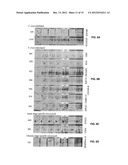 Diagnostic Methods for Assessing Risk of Chagas Disease and Heart Failure diagram and image