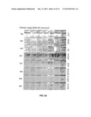 Diagnostic Methods for Assessing Risk of Chagas Disease and Heart Failure diagram and image