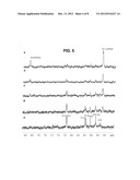 CHRYSOPHAENTIN ANTIMICROBIAL COMPOUNDS THAT INHIBIT FTSZ PROTEIN diagram and image