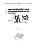 DESIGN AND USE OF NEW RECOMBINANT INTERFERONS WITH ALTERED SPATIAL     CONFIGURATION AND THREE-DIMENSIONAL STRUCTURE diagram and image