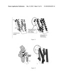 DESIGN AND USE OF NEW RECOMBINANT INTERFERONS WITH ALTERED SPATIAL     CONFIGURATION AND THREE-DIMENSIONAL STRUCTURE diagram and image