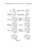 SYNTHESIS OF EPOTHILONES, INTERMEDIATES THERETO AND ANALOGUES THEREOF diagram and image