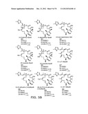 SYNTHESIS OF EPOTHILONES, INTERMEDIATES THERETO AND ANALOGUES THEREOF diagram and image