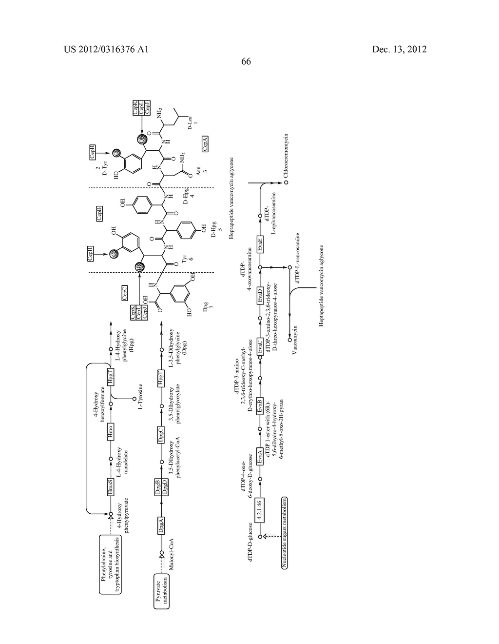 Processing Biomass - diagram, schematic, and image 111