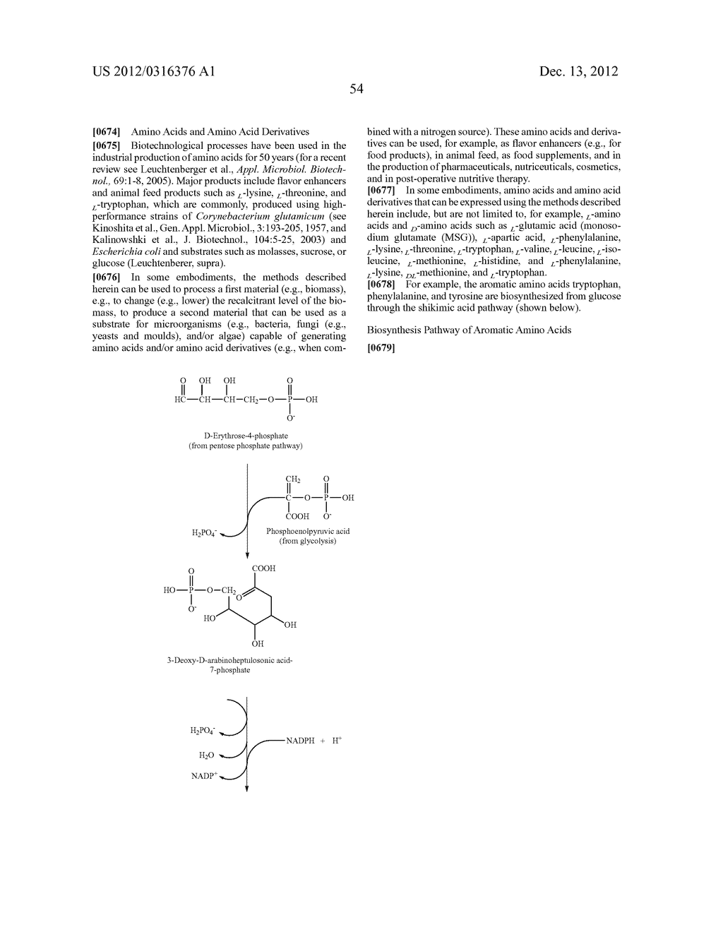 Processing Biomass - diagram, schematic, and image 99