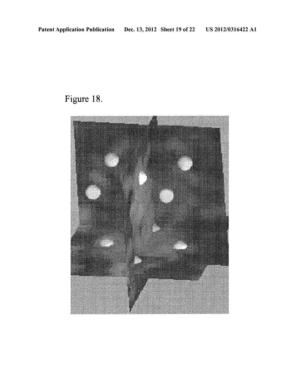 Systems and Methods for Tissue Imaging - diagram, schematic, and image 20