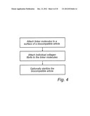 COLLAGEN COATED ARTICLE diagram and image