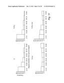 COLLAGEN COATED ARTICLE diagram and image