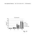 COLLAGEN COATED ARTICLE diagram and image