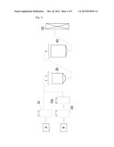 METHOD OF PRODUCING EARTHWORM CASTINGS USING SOLID FUEL ASH AND EARTHWORM     BED FOR PRODUCING EARTHWORM CASTINGS diagram and image