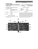 METHODS OF INTERCONNECTING THIN FILM SOLAR CELLS diagram and image