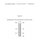 SYSTEMS, METHODS, AND DEVICES RELATING TO A BIOMIMETIC CELLULARIZED     NEPHRON UNIT diagram and image