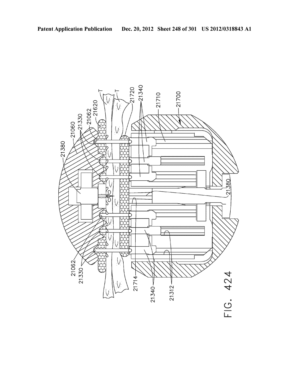 TISSUE STAPLER HAVING A THICKNESS COMPENSATOR INCORPORATING AN OXYGEN     GENERATING AGENT - diagram, schematic, and image 249