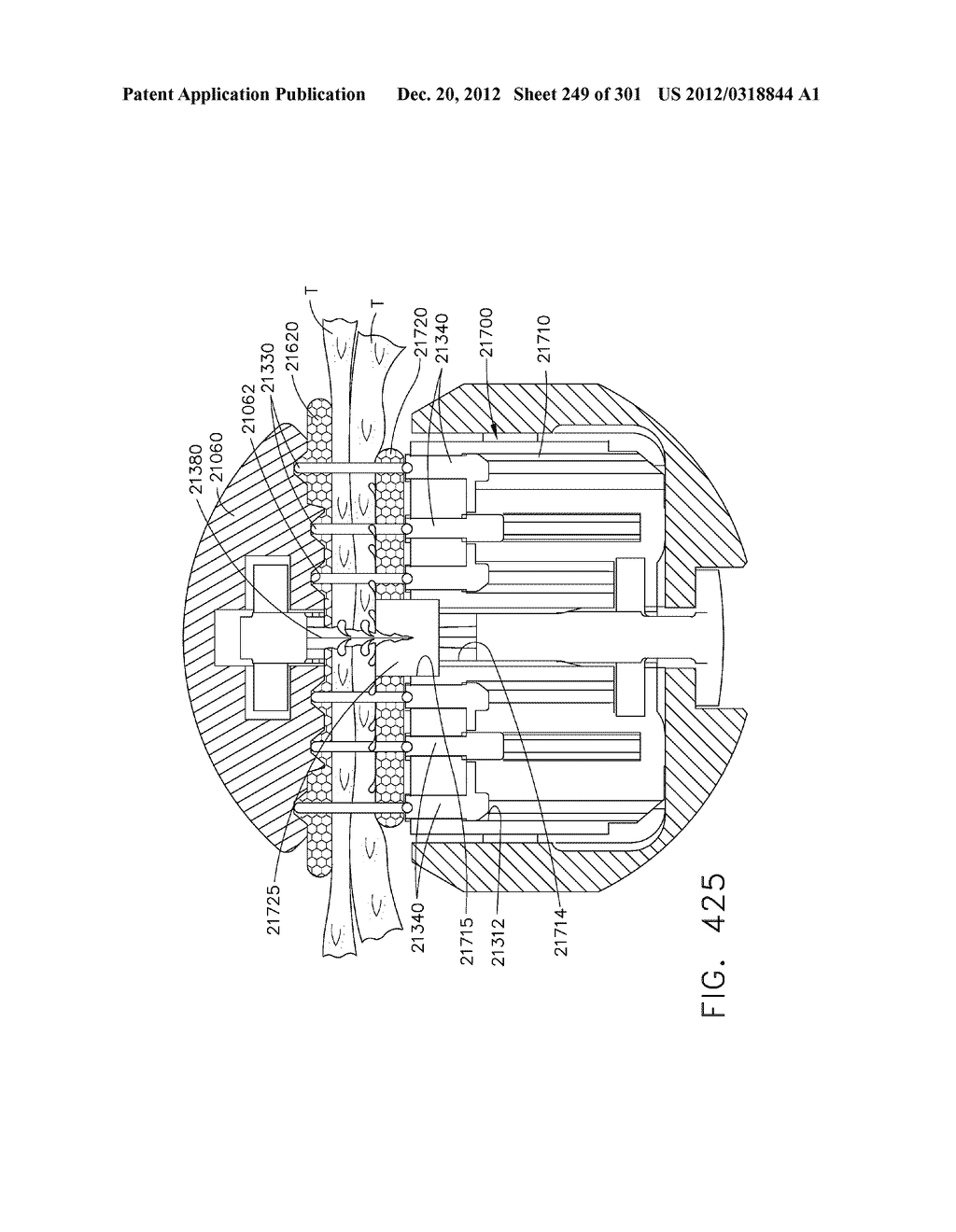 TISSUE STAPLER HAVING A THICKNESS COMPENSATOR INCORPORATING AN     ANTI-INFLAMMATORY AGENT - diagram, schematic, and image 250