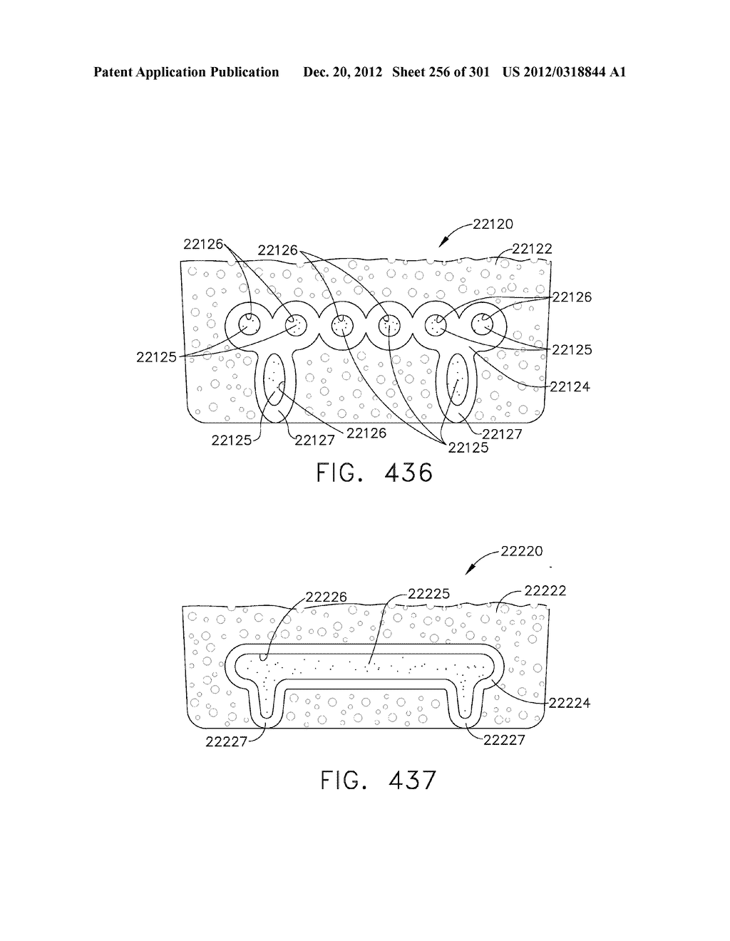 TISSUE STAPLER HAVING A THICKNESS COMPENSATOR INCORPORATING AN     ANTI-INFLAMMATORY AGENT - diagram, schematic, and image 257