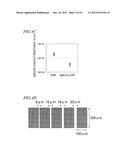 NITRIDE SEMICONDUCTOR ELEMENT AND MANUFACTURING METHOD THEREFOR diagram and image