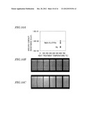 NITRIDE SEMICONDUCTOR ELEMENT AND MANUFACTURING METHOD THEREFOR diagram and image