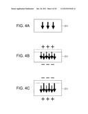 SHEAR FORCE DETECTION DEVICE, TACTILE SENSOR AND GRASPING APPARATUS diagram and image