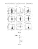 MULTIPOINT TOUCH SURFACE CONTROLLER diagram and image