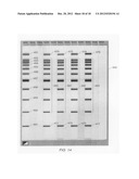 SOFTWARE FOR THE DISPLAY OF CHROMATOGRAPHIC SEPARATION DATA diagram and image