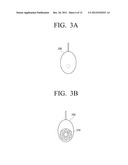 DISPLAY APPARATUS AND CALIBRATION METHOD THEREFOR diagram and image