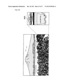 INFORMATION PROCESSING DEVICE, INFORMATION PROCESSING SYSTEM, AND PROGRAM diagram and image