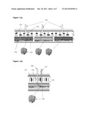 ELECTRO-OPTICAL SWITCHING ELEMENT AND ELECTRO-OPTICAL DISPLAY diagram and image