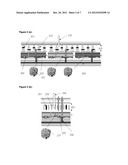 ELECTRO-OPTICAL SWITCHING ELEMENT AND ELECTRO-OPTICAL DISPLAY diagram and image