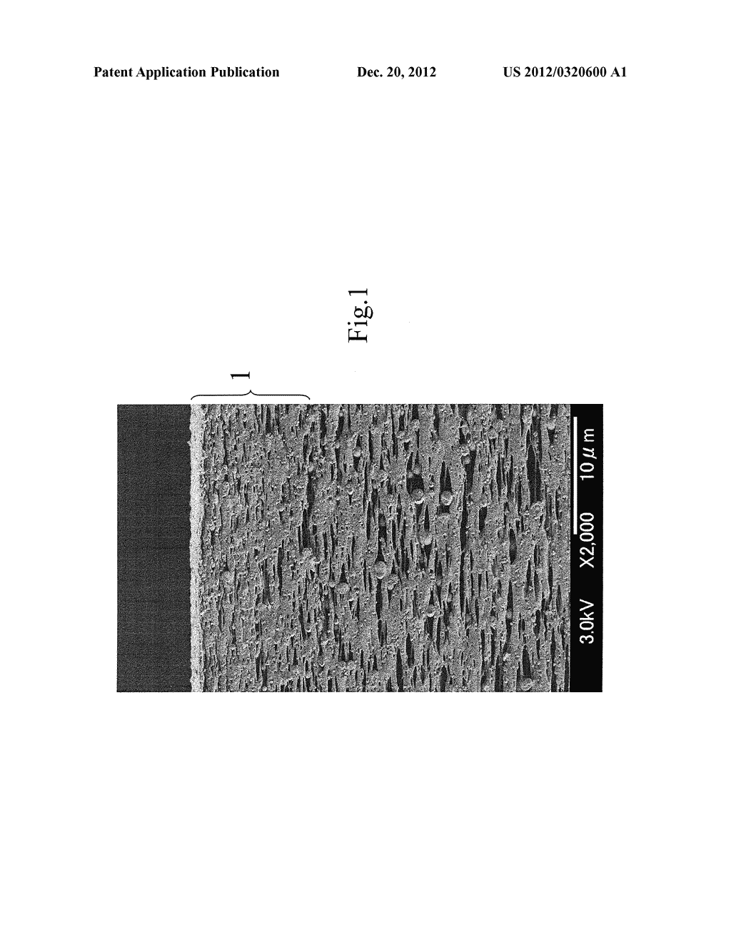 WHITE FILM AND SURFACE LIGHT SOURCE USING SAME - diagram, schematic, and image 02