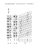 COMMUNICATION DURATION CONFIGURING METHOD, RELAY STATION, MOBILE STATION     AND MOBILE COMMUNICATION SYSTEM diagram and image