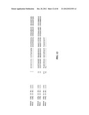 TREATMENT AND PROPHYLAXIS OF AMYLOIDOSIS diagram and image