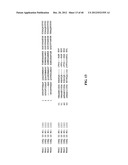 TREATMENT AND PROPHYLAXIS OF AMYLOIDOSIS diagram and image