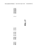 TREATMENT AND PROPHYLAXIS OF AMYLOIDOSIS diagram and image