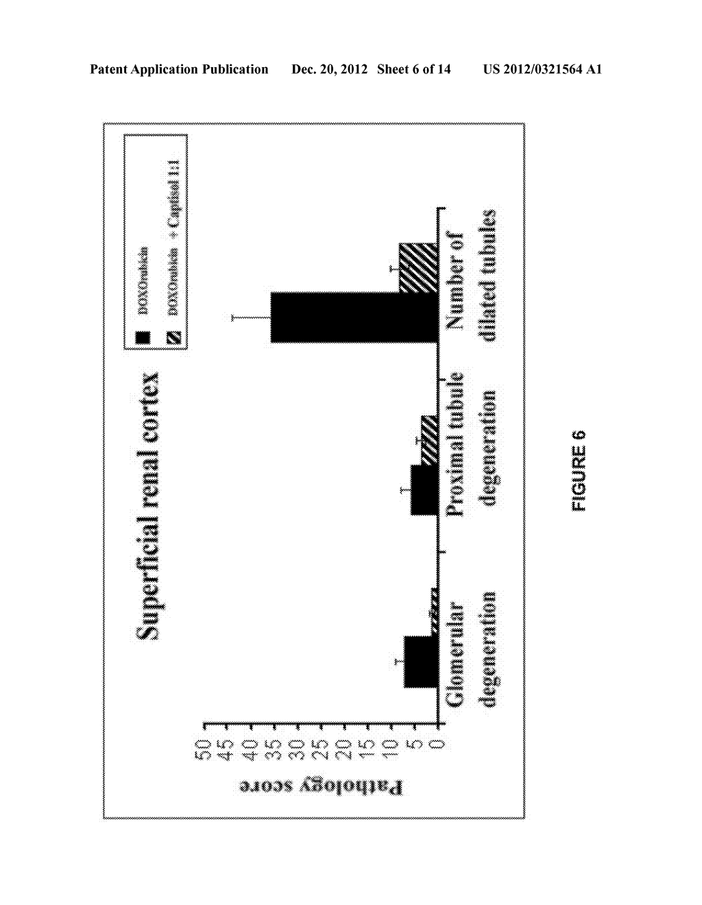 Compositions Useful for Reducing Nephrotoxicity and Methods of Use Thereof - diagram, schematic, and image 07