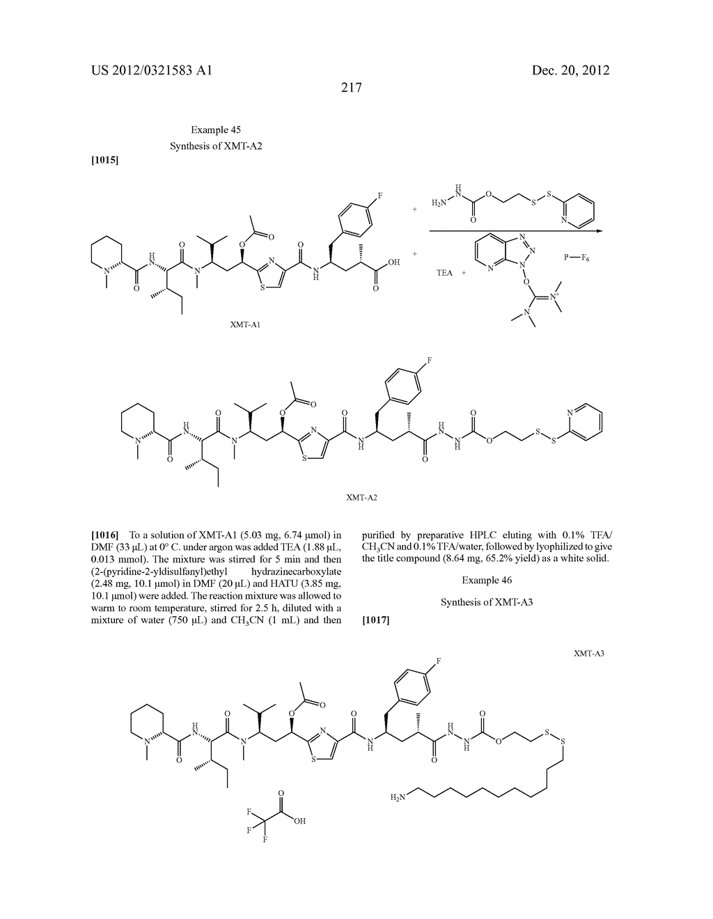 Protein-Polymer-Drug Conjugates - diagram, schematic, and image 226
