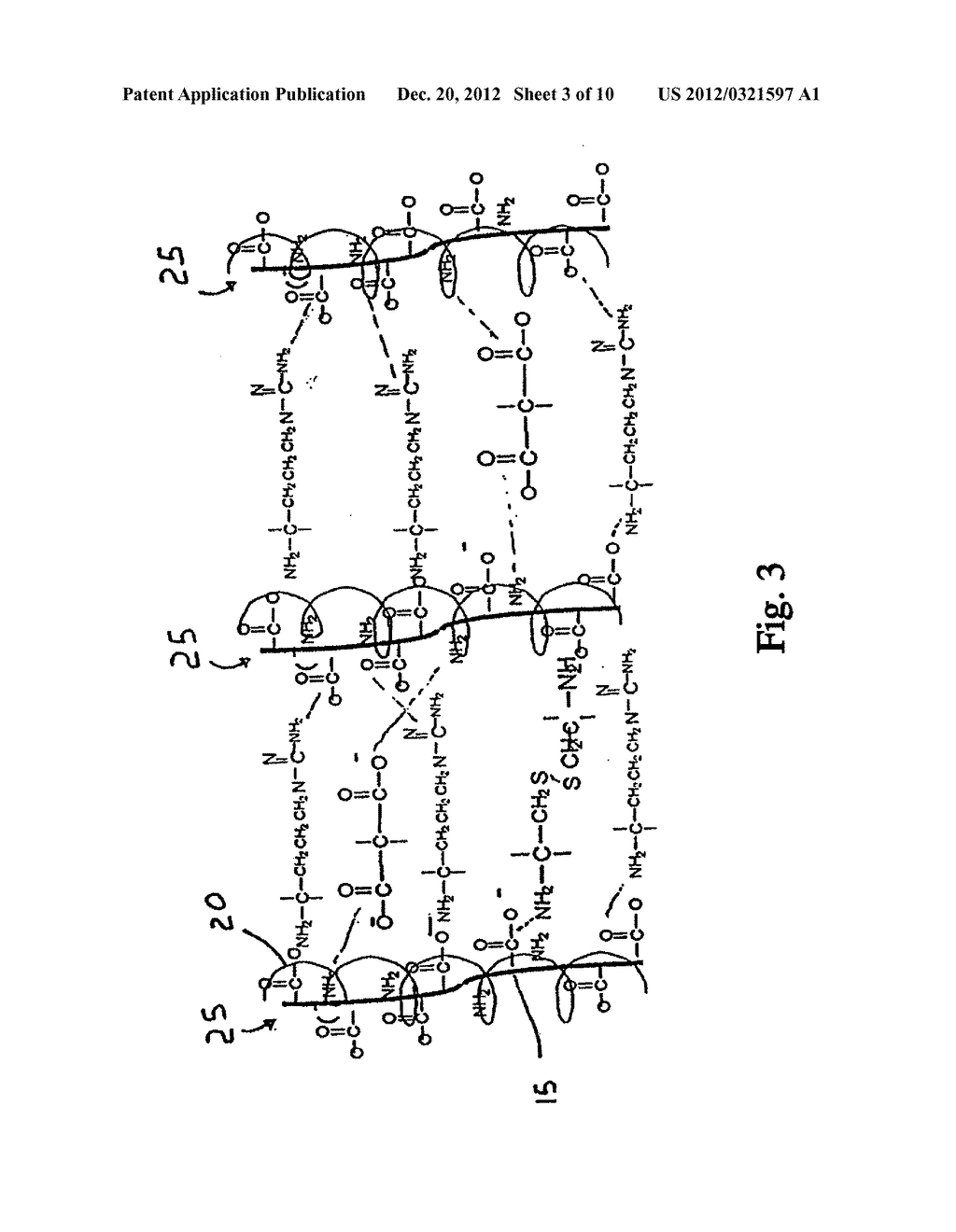 METHODS AND COMPOSITIONS FOR REGENERATING CONNECTIVE TISSUE - diagram, schematic, and image 04