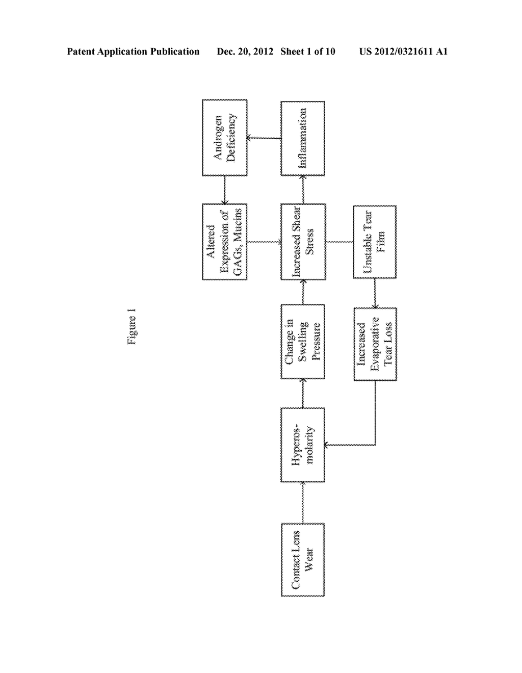 Replenishment and Enrichment of Ocular Surface Lubrication - diagram, schematic, and image 02