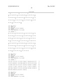 ANTI-C4.4A ANTIBODIES AND USES THEREOF diagram and image