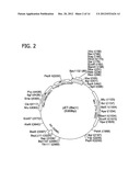 TARGETING THE NEUROMUSCULAR JUNCTION FOR TREATMENT diagram and image