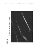 TARGETING THE NEUROMUSCULAR JUNCTION FOR TREATMENT diagram and image