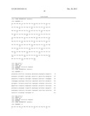 TARGETING THE NEUROMUSCULAR JUNCTION FOR TREATMENT diagram and image