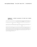 ANTIBODIES TO OX-2/CD200 AND USES THEREOF IN INHIBITING IMMUNE RESPONSES diagram and image