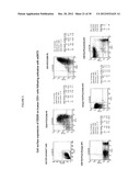 ANTIBODIES TO OX-2/CD200 AND USES THEREOF IN INHIBITING IMMUNE RESPONSES diagram and image