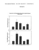 ANTIBODIES TO OX-2/CD200 AND USES THEREOF IN INHIBITING IMMUNE RESPONSES diagram and image