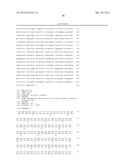 ANTIBODIES TO OX-2/CD200 AND USES THEREOF IN INHIBITING IMMUNE RESPONSES diagram and image