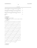 ANTIBODIES TO OX-2/CD200 AND USES THEREOF IN INHIBITING IMMUNE RESPONSES diagram and image