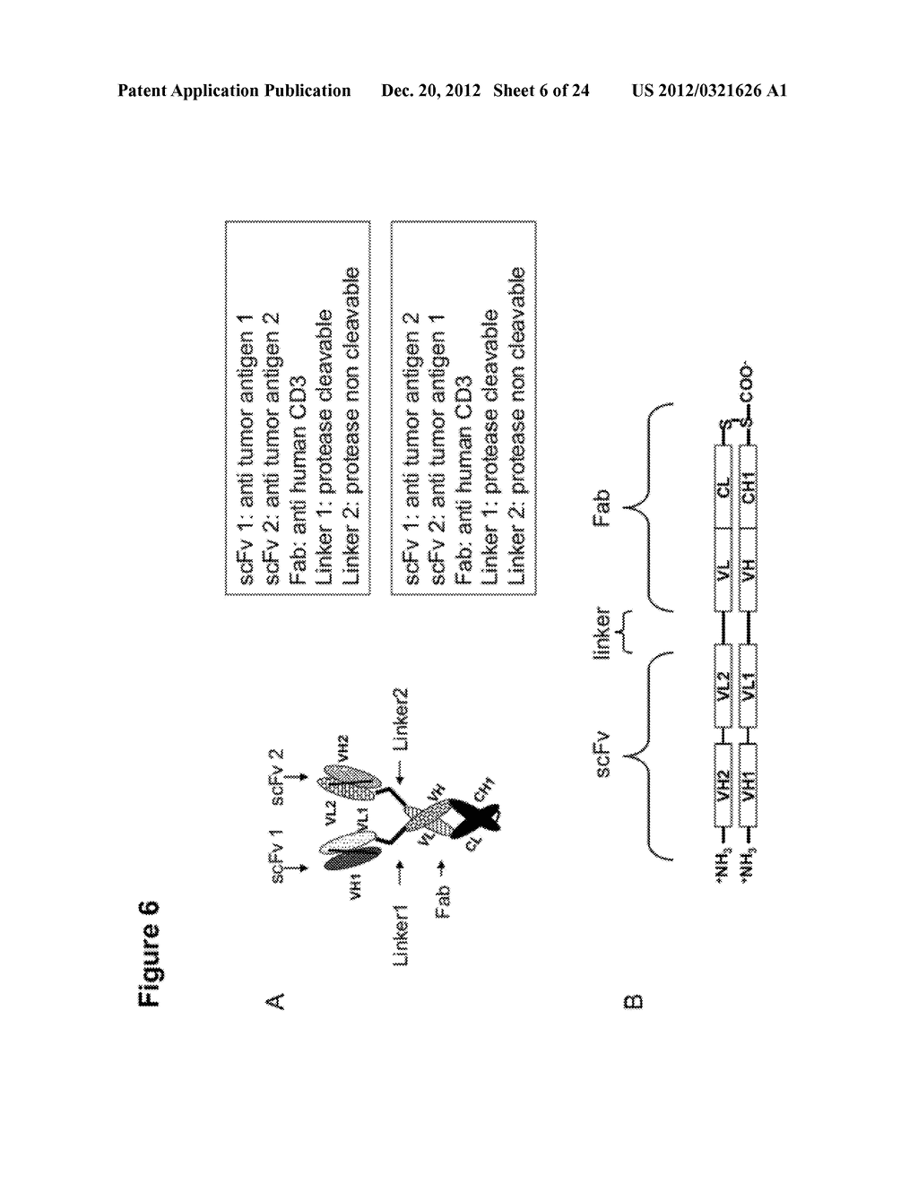 MULTI-SPECIFIC FAB FUSION PROTEINS AND METHODS OF USE - diagram, schematic, and image 07