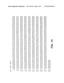 HEPATOCYTE GROWTH FACTOR RECEPTOR ANTAGONISTS AND USES THEREOF diagram and image