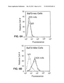 HEPATOCYTE GROWTH FACTOR RECEPTOR ANTAGONISTS AND USES THEREOF diagram and image